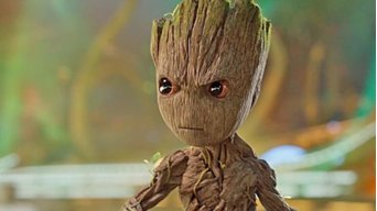 Groot