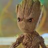Groot
