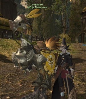 Chocobo!~